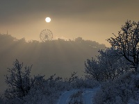 阿拉木图雪后清晨