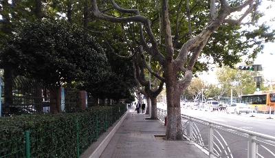 山東推動措施落地見效 確保"兩節(jié)"豬肉供應基本穩(wěn)定