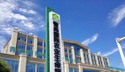 受國際資本青睞！山東中廣大為獲得戰略投資