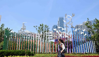 市南區(qū)審計局召開“不忘初心、牢記使命” 專題民主生活會 