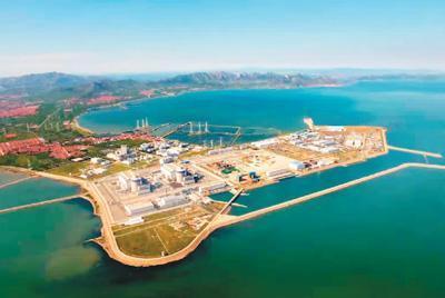 2月中国制造业PMI为35.7%