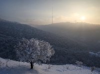 阿拉木圖雪后清晨