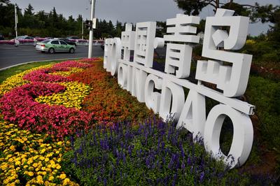 【2019青岛三民】市行政审批局：智能审批开启“秒批”时代  89项政务服务事项实现“即时可办”