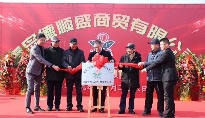 搭建云倉整合平臺資源  德順盛遷址嶗山轉(zhuǎn)型升級