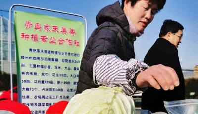 这就是山东：这里不止是葱高，还有入口入诗入相思的“胶大”