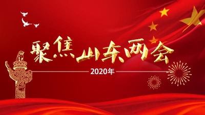 刘家义、龚正、付志方、杨东奇分别参加所在代表团审议