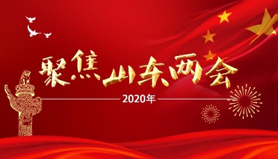 劉家義、龔正、付志方、楊東奇分別參加所在代表團審議