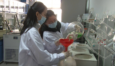 新春走基層·蹲點Vlog | 芹菜面膜問世 濟南章丘鮑家村的村民們不愁啦！