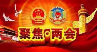王清宪参加青岛代表团对省政府工作报告的审议