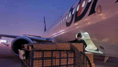 勇擔當，“山東情”源源不斷送武漢