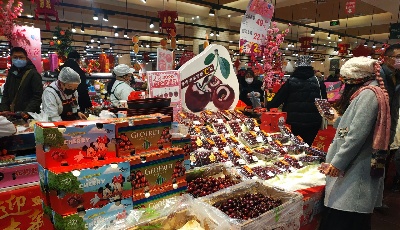 青島農(nóng)副產(chǎn)品供應(yīng)充足 蔬菜銷量大增