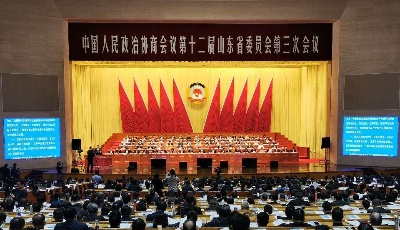 省政協十二屆三次會議舉行全體會議進行大會發言 為推進新時代現代化強省建設建言獻策匯聚力量