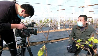 疫“考”當前，一起來看這份“山東特色”答卷