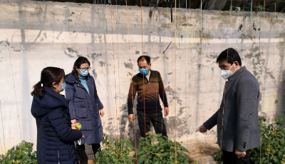 青岛市农业农村局印发施肥指导意见 引导农民合理运筹水肥