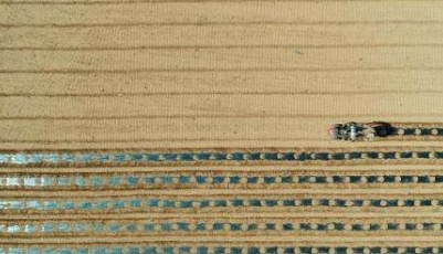 望岳談|與農時賽跑，“疫情防控、農業生產、脫貧攻堅”一個不能少！