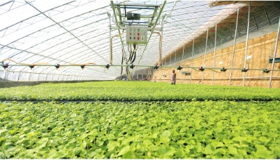 一線直擊 記者蹲點|春耕在即，山東各地加強春耕備耕，推動農資企業復工復產