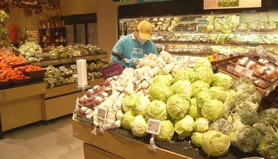 “齊”心“魯”力|山東招工有實招 民企復工好用工