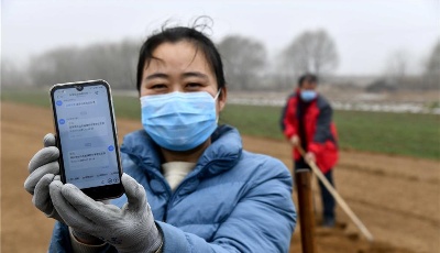 “齊”心“魯”力|“疫”樣的春天 別樣的春耕——來自農(nóng)業(yè)大省山東的春耕備耕見聞