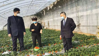 抗击疫情，青岛农商银行在行动  特殊时期的“销售员”与“送货员”