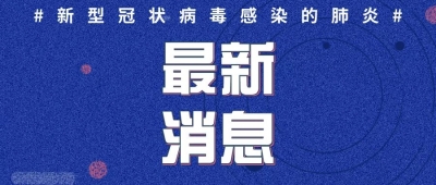 2020年1月31日12时至24时山东省新型冠状病毒感染的肺炎疫情情况