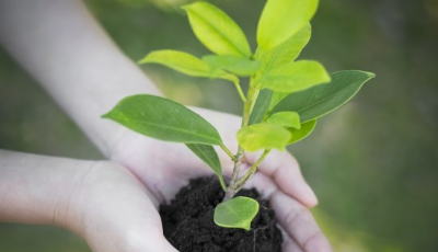 希望的種子正在萌芽 美好明天終將不期而遇