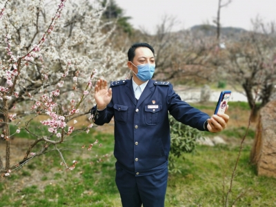 公交司机直播“云”赏梅 带市民足不出户赏“梅”景