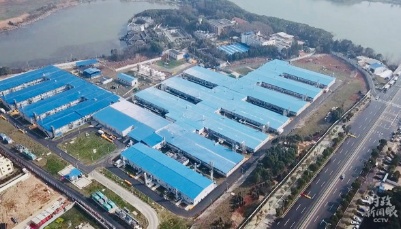 習近平赴武漢考察，傳遞哪些鮮明信號？