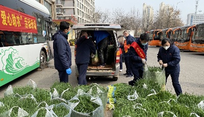 1400斤香葱有了销路青企爱心助农1小时售出百斤葱