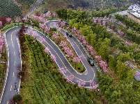 春雨春色春意浓