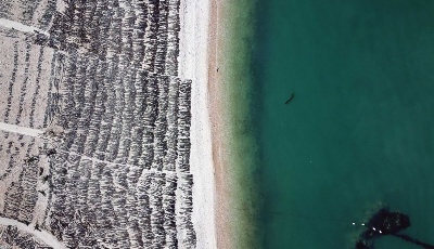 描繪“三生三美”的斑斕畫卷