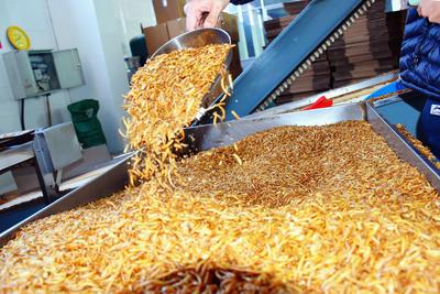 复工后累计出口成品80吨！青岛康农生物公司“面包虫”畅销海外