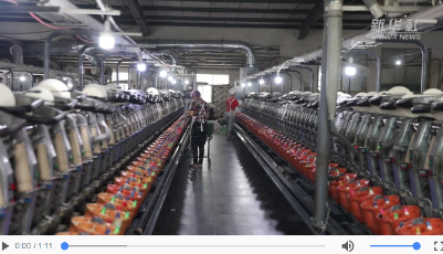 “齊”心“魯”力|山東鄆城：盯準黃河灘 讓扶貧車間“動”起來