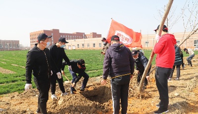 多一片綠色，多一份溫馨 | 波尼亞集團組織開展植樹活動