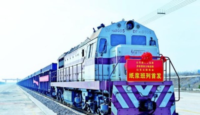 青島董家口港區“端到端”紙漿大列首發，解了太陽紙業的燃眉之急