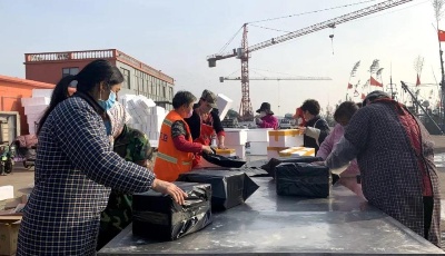 “齊”心“魯”力|一只海虹的自白