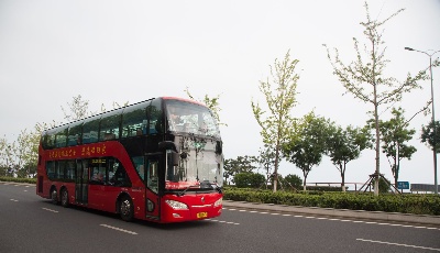 獲獎數量全省第一  交運集團七例品牌摘大獎 