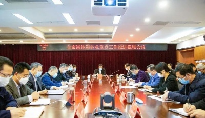 市园林和林业局统筹推进疫情防控和园林林业重点工作