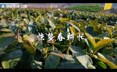 惊蛰春耕忙丨山东媒体联动直播！“海陆空”视角呈现16市春耕农忙第一现场