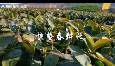 驚蟄春耕忙丨山東媒體聯(lián)動(dòng)直播！“海陸空”視角呈現(xiàn)16市春耕農(nóng)忙第一現(xiàn)場