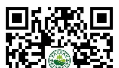 疫情期間足不出戶也能植樹——嶗山區(qū)請您用“云植樹”為浮山生態(tài)公園添點綠