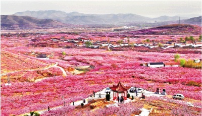 大眾日?qǐng)?bào)重磅述評(píng)|脫貧攻堅(jiān)，不破樓蘭終不還——山東深入貫徹落實(shí)習(xí)近平總書(shū)記重要指示要求述評(píng)④