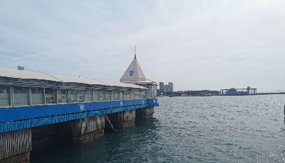 虚惊一场：海面发现“油污带”？调查原是“夜光藻”