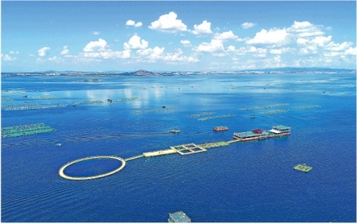 大众日报重磅述评|经略海洋，向海图强风帆劲——山东深入贯彻落实习近平总书记重要指示要求述评③