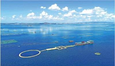 大眾日報重磅述評|經略海洋，向海圖強風帆勁——山東深入貫徹落實習近平總書記重要指示要求述評③