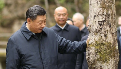 鑒往知來(lái)，跟著總書(shū)記學(xué)歷史丨 “一座秦嶺山，半部中國(guó)史”