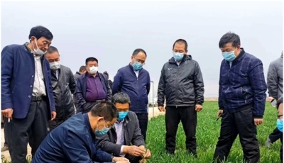 這就是山東|科技助力、金融賦能、人才支持，山東扎實推進農業(yè)穩(wěn)產保供!