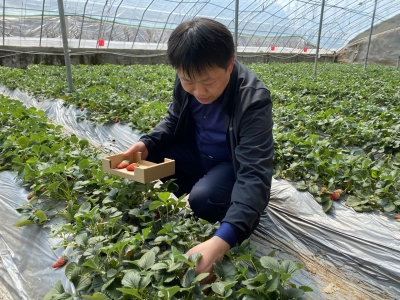 胶州80后副书记直播带货促销售 让村民鼓起“钱袋子”