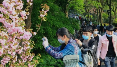 理上網來|五一小長假，“防與放”兩難如何變兩全？