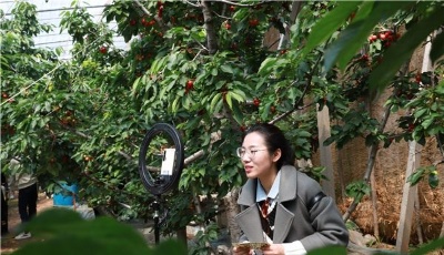 這就是山東|網絡直播、線上攬客，山東各地深化“鄉村賦能”打贏脫貧攻堅戰