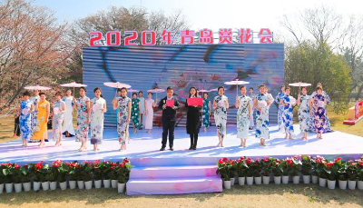 春暖花開 不負(fù)韶華  2020年青島賞花會如期開幕